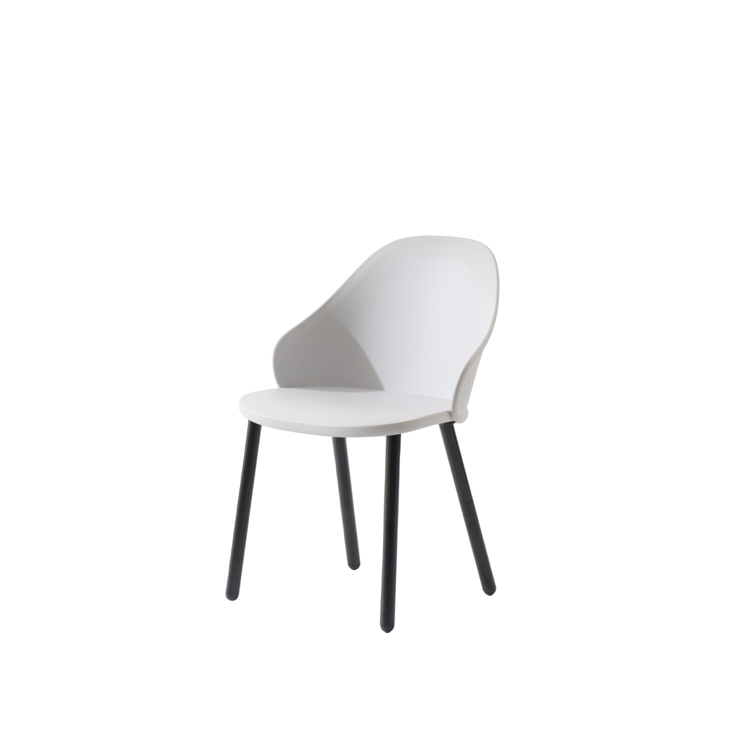 Bonni Dining Chair – premium comfort and durability